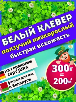 Белый клевер ползучий для газона низкорослый 0!Semena 246741833 купить за 800 ₽ в интернет-магазине Wildberries