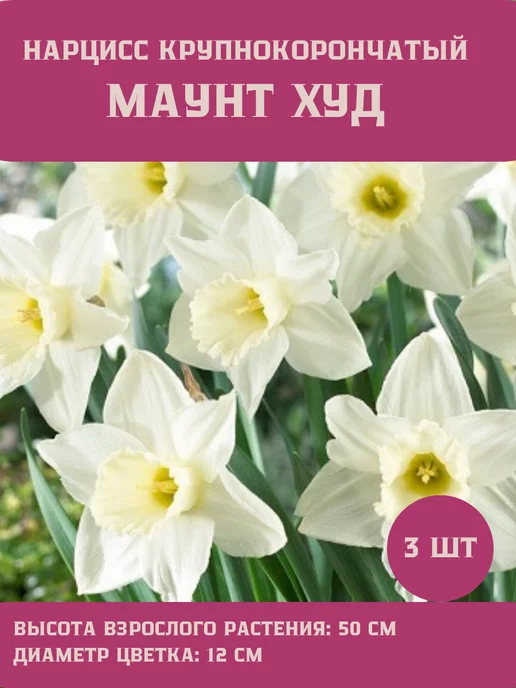 Царь сад Нарцисс крупнокорончатый махровый трубчатый, 3 шт