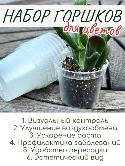 Умный садовод Горшки прозрачные технические для рассады д10 штук 6см, прозрачный, фото 2