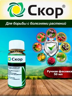 Скор фунгицид PharmAgro 246795226 купить за 483 ₽ в интернет-магазине Wildberries