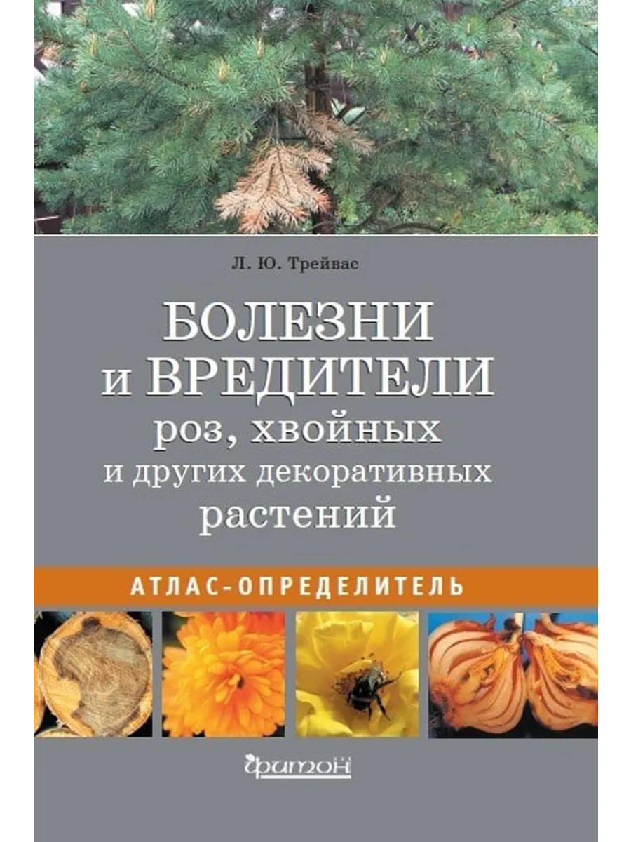 Болезни и вредители роз, хвойных и др. декоративных растений