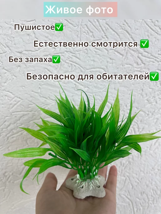by Vicki Растение для аквариума искусственное на коряге, зеленый, фото 3