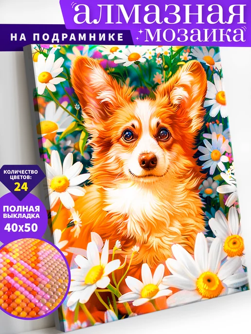 Art on Canvas Корги в ромашках Алмазная мозаика на подрамнике 40х50 см, 40x50 см