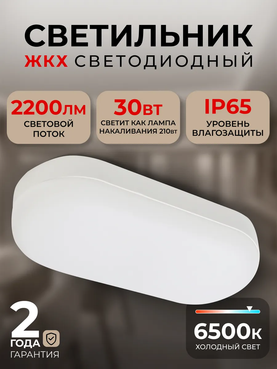 Cветодиодный светильник BT овал 30Вт / 6500K / IP65