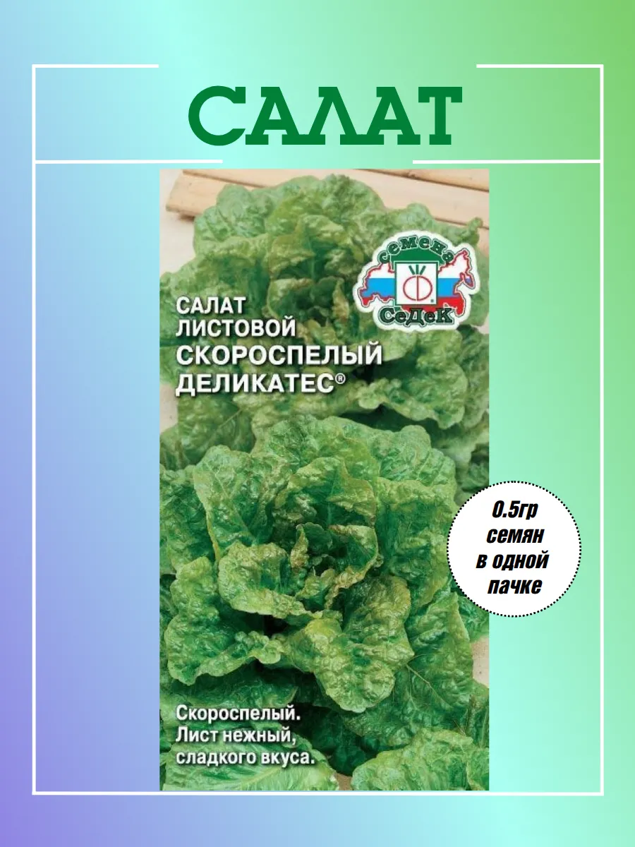 Салат Скороспелый деликатес