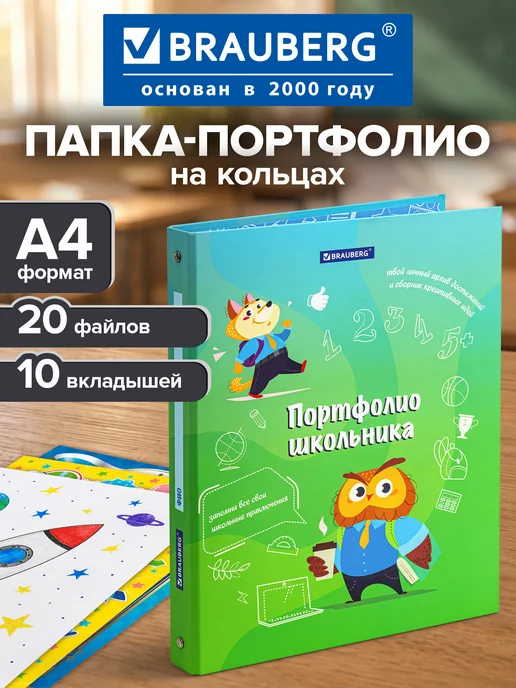 Brauberg Портфолио школьника, папка А4 на кольцах мальчику, 20 файлов, синий