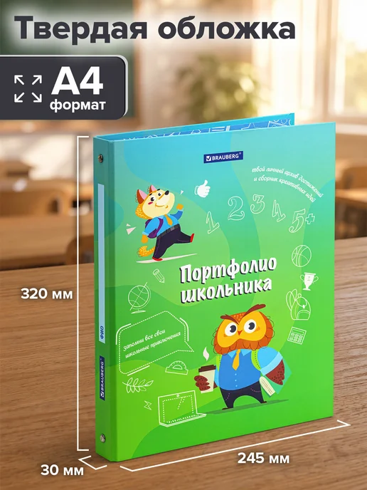 Brauberg Портфолио школьника, папка А4 на кольцах мальчику, 20 файлов, синий, фото 3