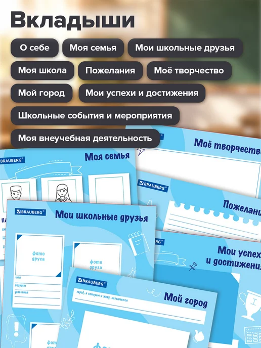Brauberg Портфолио школьника, папка А4 на кольцах мальчику, 20 файлов, синий, фото 5