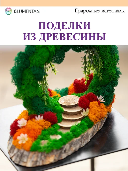 Blumentag Спилы дерева для творчества 3-5 см, 10 шт, 10 шт, фото 2