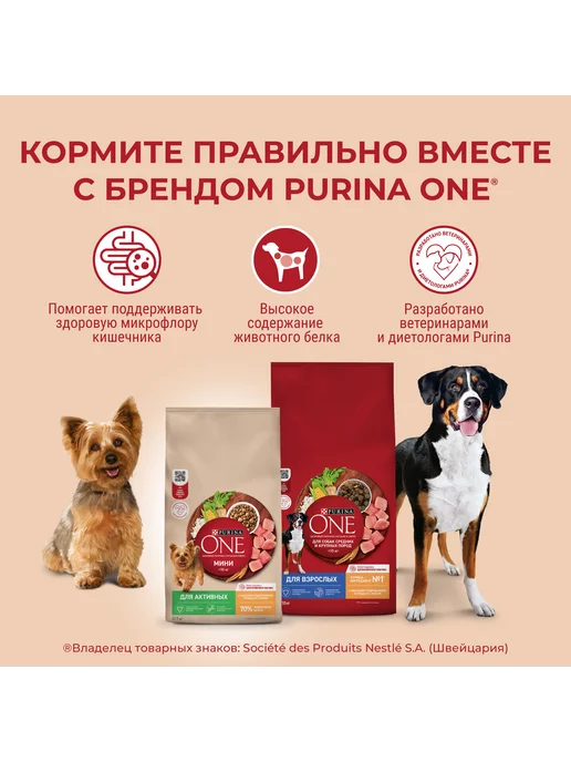 Сухой корм PURINA ONE Активных для собак, курица, 3 кг, фото 6