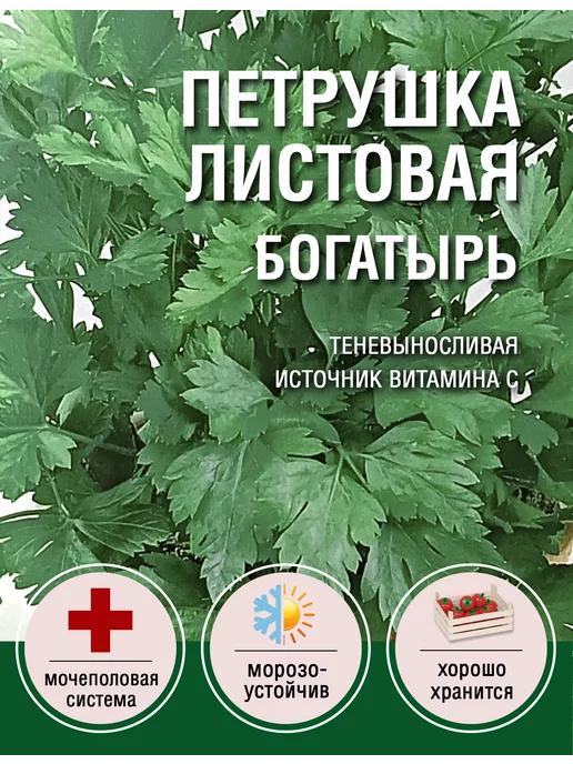 Зелёная Планета Петрушка Богатырь (2 пакета по 2гр), 2 г, фото 2