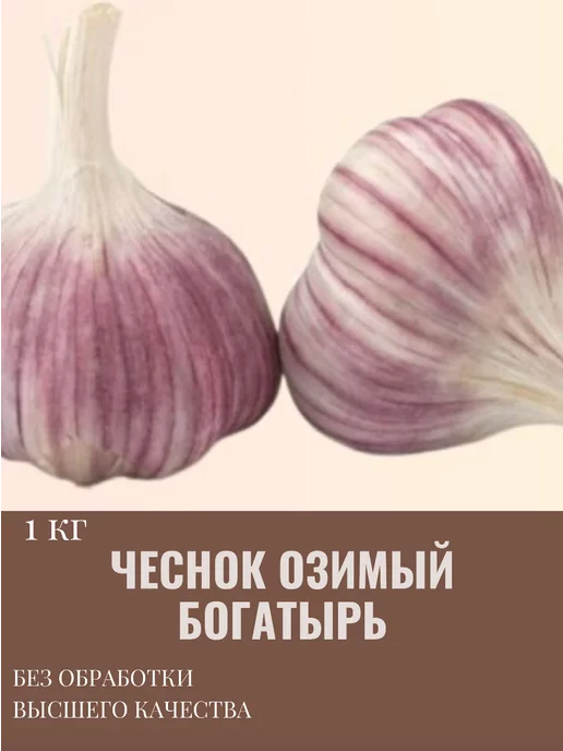 Сады Амстердама Чеснок озимый на посадку 1 кг, 1 кг