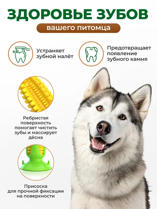 Игрушка для собак для чистки зубов, зеленый, фото 2