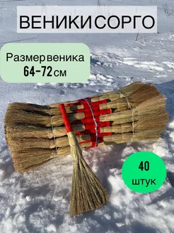 Веник натуральный садовый 40 штук