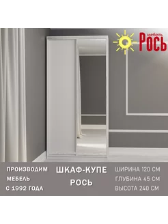 Шкаф для одежды купе с зеркалом 120х45х240