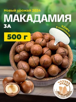 Макадамия в скорлупе 500 гр