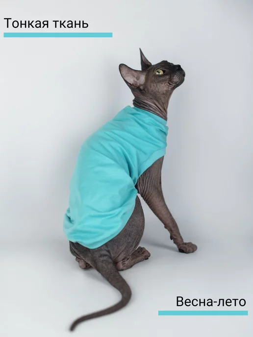 NikaCats Футболка для кошек, голубой, фото 2