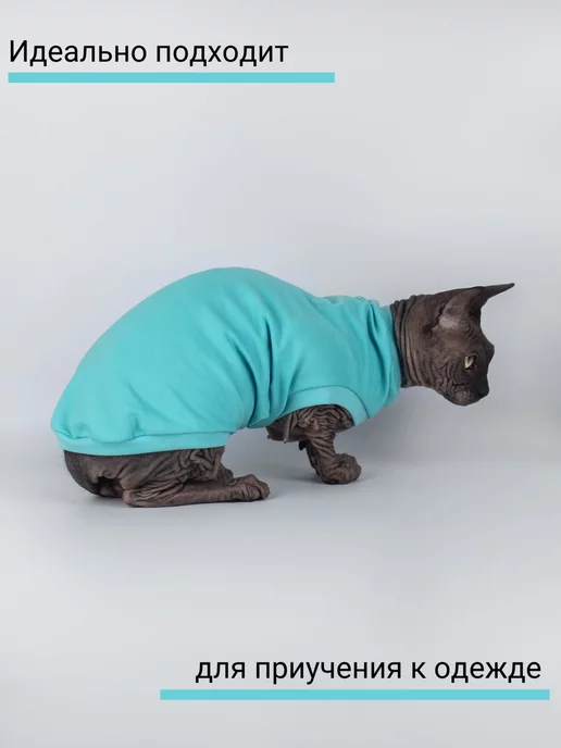 NikaCats Футболка для кошек, голубой, фото 3
