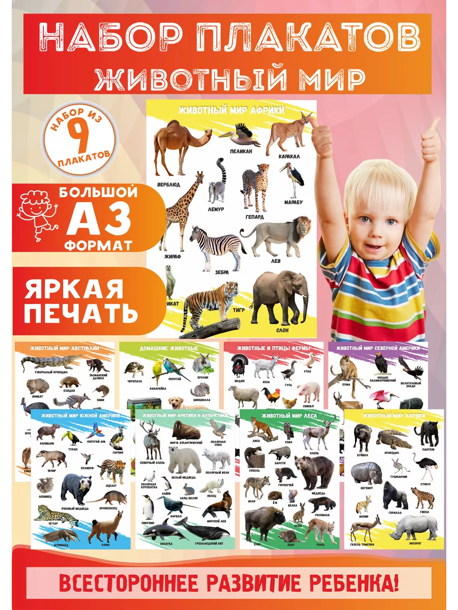 Набор плакаты для детей Животные и птицы
