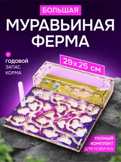 Большая муравьиная ферма