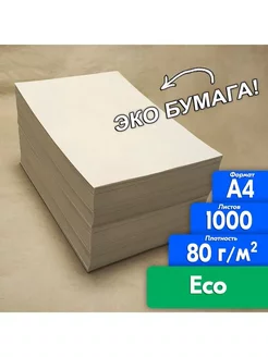 Бумага Cветогорка ЭКО ECO А4 1000 листов, 80 гр ПСВ 247695819 купить за 597 ₽ в интернет-магазине Wildberries