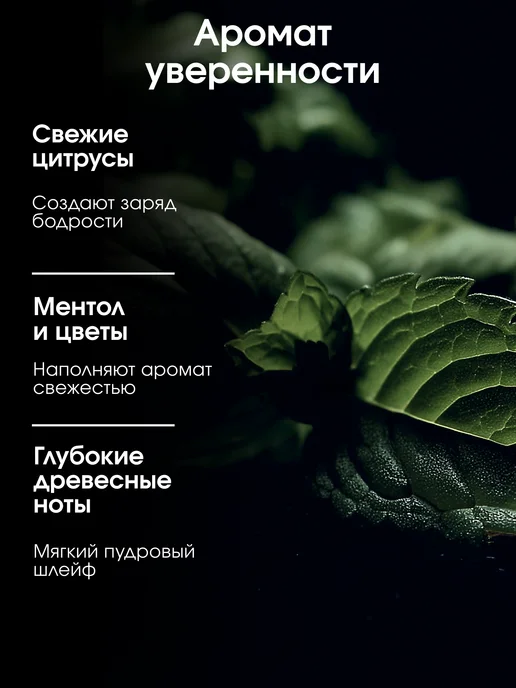La Fabrique Дезодорант для ног и обуви, нейтрализатор запаха Мята Чай, 110 мл, фото 2