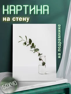 Картина на стену Ветвь эвкалипта