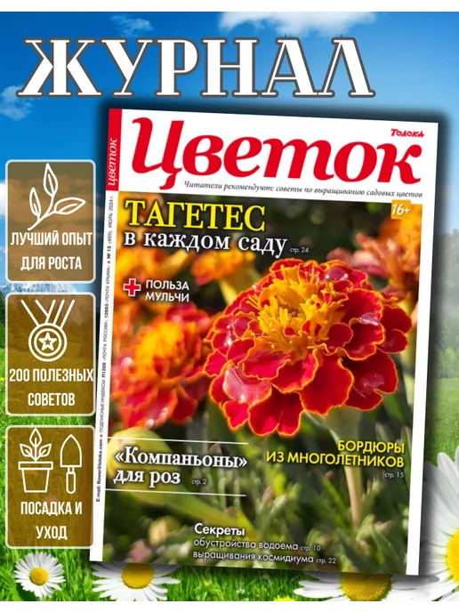 Цветок журнал о садовых цветах № 15 24.Как устроить пруд в саду, вариант