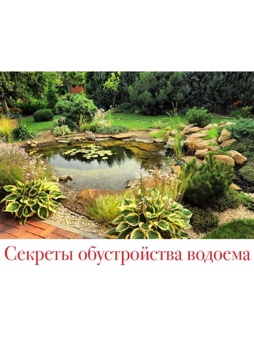 Цветок журнал о садовых цветах № 15 24.Как устроить пруд в саду, вариант, фото 4
