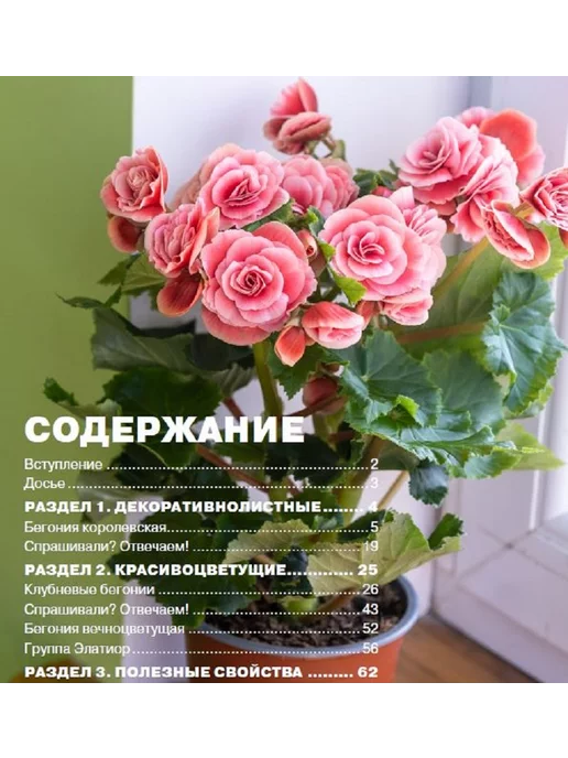 Цветок журнал цветовода №2 24.Бегонии и уход за ними, вариант, фото 2