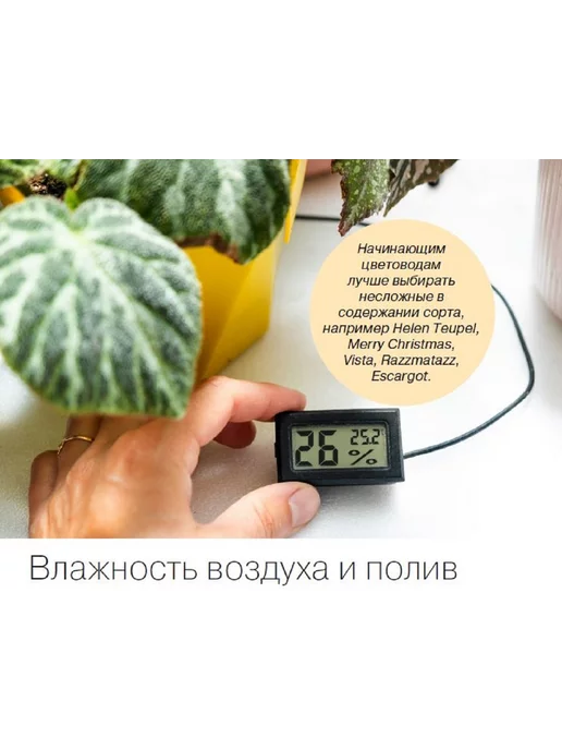 Цветок журнал цветовода №2 24.Бегонии и уход за ними, вариант, фото 3