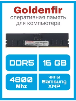 DIMM DDR5 16GB 4800Mhz Оперативная память, чипы Samsung, XMP Goldenfir 247765027 купить за 3 798 ₽ в интернет-магазине Wildberries