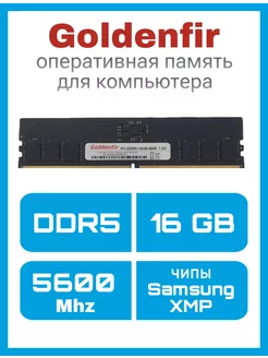 DIMM DDR5 16GB 5600Mhz Оперативная память, чипы Samsung, XMP Goldenfir 247769342 купить за 3 998 ₽ в интернет-магазине Wildberries