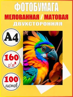 Фотобумага матовая А4 мелованная Mr. Paper 247795463 купить за 765 ₽ в интернет-магазине Wildberries