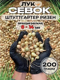 Лук севок на посадку мелкий 200 гр 248069235 купить за 141 ₽ в интернет-магазине Wildberries