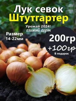 Лук севок для посадки на репку и зелень Семенология 248071148 купить за 137 ₽ в интернет-магазине Wildberries