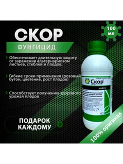 Фунгицид Скор 100