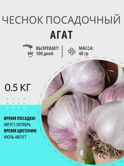 Чеснок посадочный Агат озимый 0.5 кг Цветочная Птичка 248179619 купить за 387 ₽ в интернет-магазине Wildberries