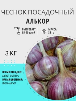 Чеснок посадочный Алькор озимый 3 кг Цветочная Птичка 248244854 купить за 927 ₽ в интернет-магазине Wildberries