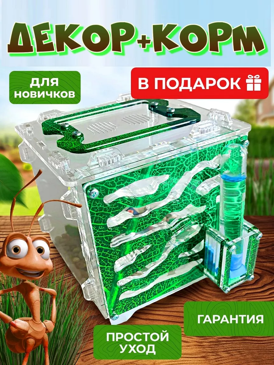 Муравьиная ферма...