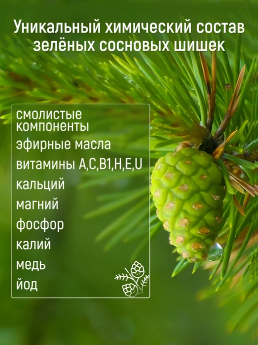Mealshop Цукаты из сосновых шишек 500 гр, 250 г, фото 3