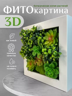 3D картина панно с мхом и искусственными цветами Conflate 248527216 купить за 780 ₽ в интернет-магазине Wildberries