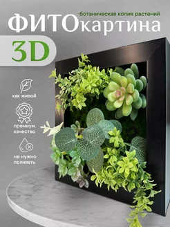 3D картина панно с мхом и искусственными цветами Conflate 248527217 купить за 777 ₽ в интернет-магазине Wildberries