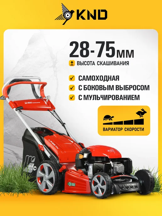 Efco LR 48 TK Allroad Plus 4 Газонокосилка (5 лс, 46 см), 800 мл, фото 2