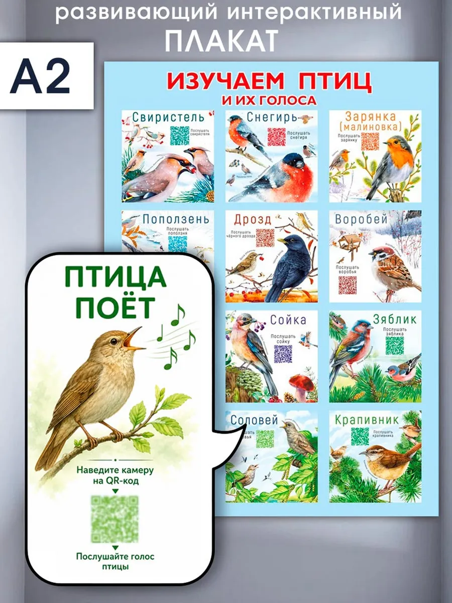 Обучающий детский плакат Птицы А2