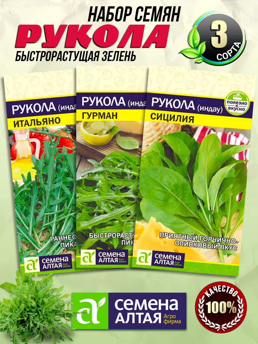 Семена Рукколы