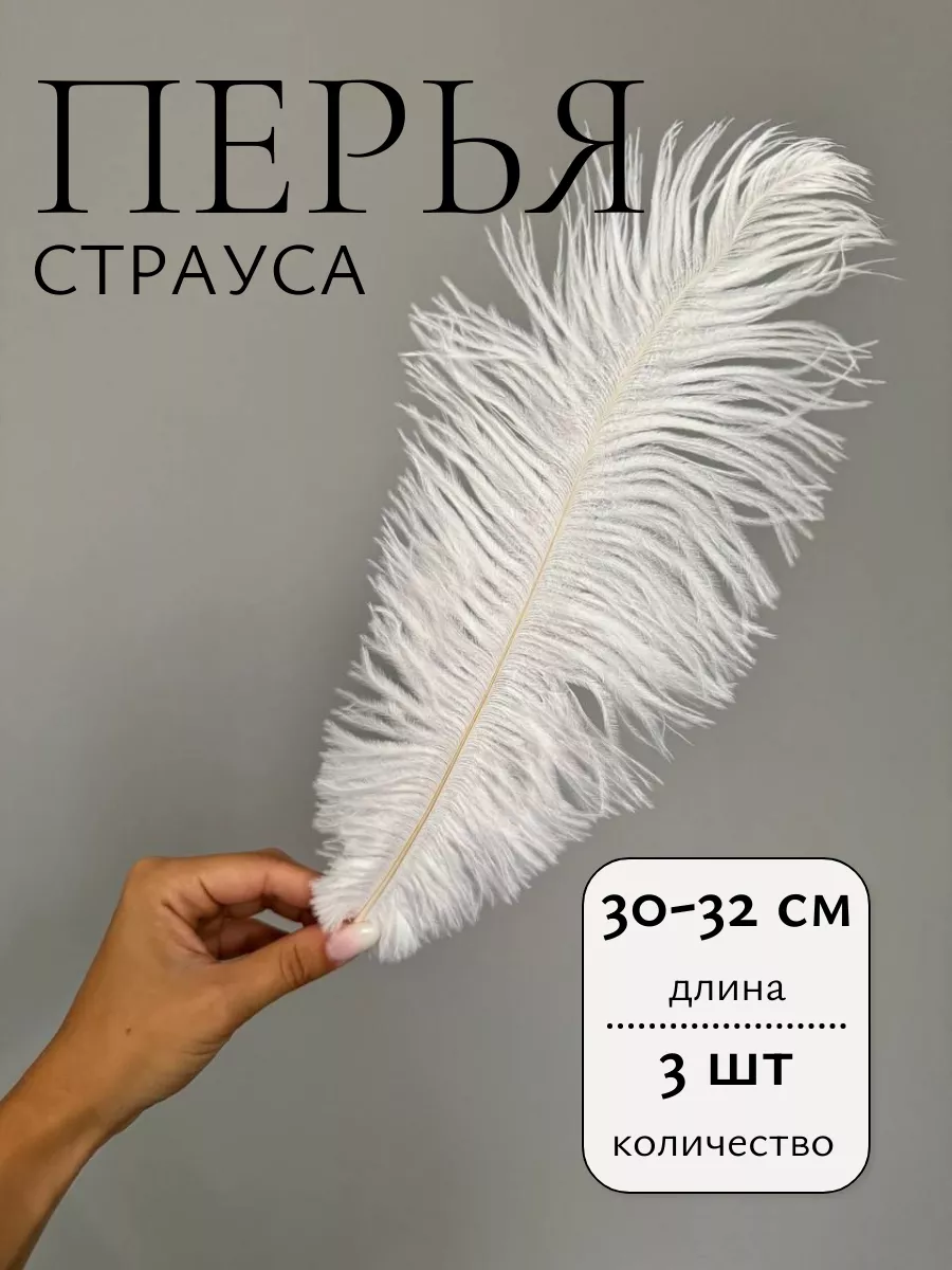 Перья страуса