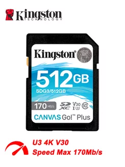 Карта памяти Canvas Go Plus 512 ГБ U3 4K V30 (SDG3 512GB)