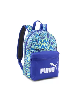 Рюкзак Phase Small Backpack