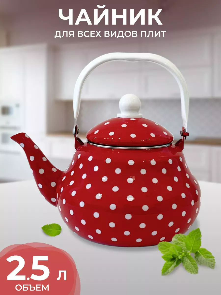 Эмалированный чайник для кухни TK121 2,5 л